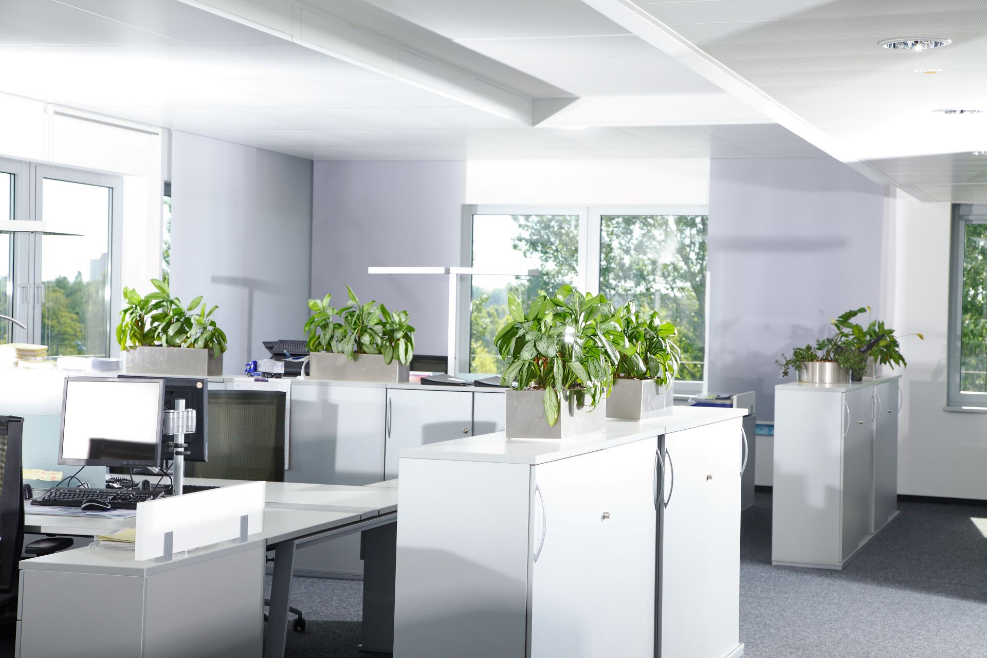 Resume Writing Karratha WA